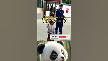 Panda  🔥 #funny #memes