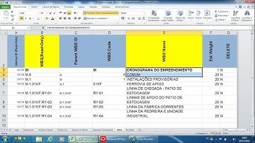 Converter WBS em Activity Code no P6