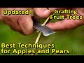 The BEST GRAFTING techniques for APPLES, PEARS and other fruit trees | Update