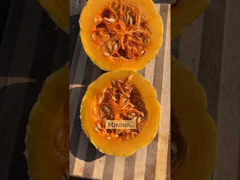 Video: Sađenje sjemena iz tikvice kupljene u trgovini: možete li posaditi tikvu iz trgovine
