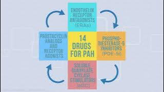 Pulmonary Arterial Hypertension (PAH): Therapy Options Explained