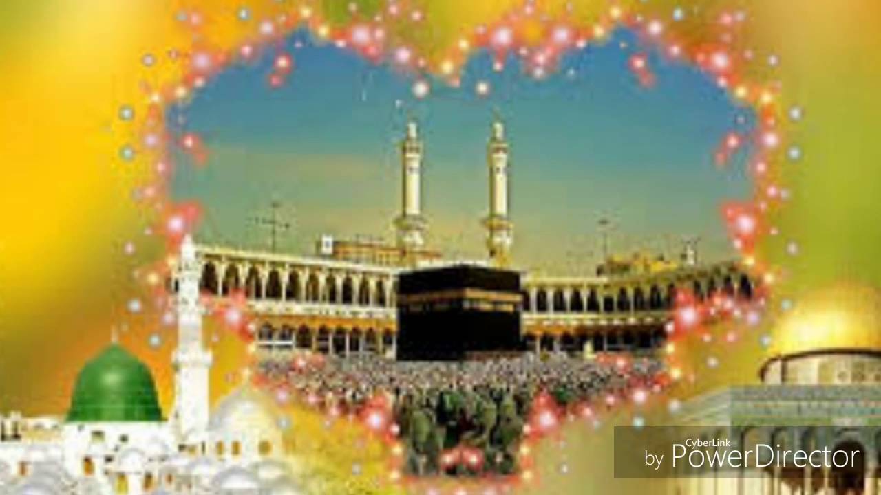 Zafar Niazi Qawwal HD MP4 Videos Download