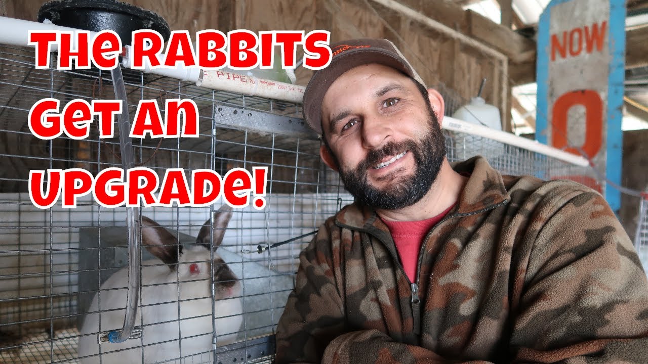 The Rabbits Get Another Upgrade! Automatic Watering System. 