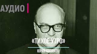 ДОБРЫЙ РАССКАЗ О ДРУЖБЕ С ХОРОШИМ КОНЦОМ. СЛУШАТЬ ОНЛАЙН РАССКАЗ ЮРИЯ КАЗАКОВА «ТИХОЕ УТРО»