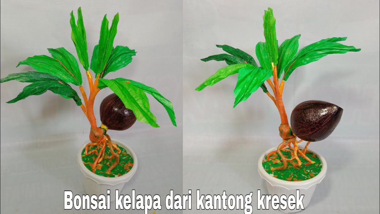 BONSAI KELAPA DARI KANTONG KRESEK/PLASTIK KRESEK BEKAS/DAUR ULANG SAMPAH