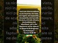 Nimic nu te poate desparti de dragostea Lui #crestinism #verset #biblia