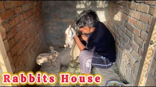 My new Rabbits house Mud house Rabbits Green green minizoo🥰🥰🥰