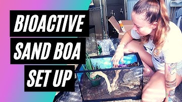 Bioactive Snake Enclosure Build For My SAND BOA!