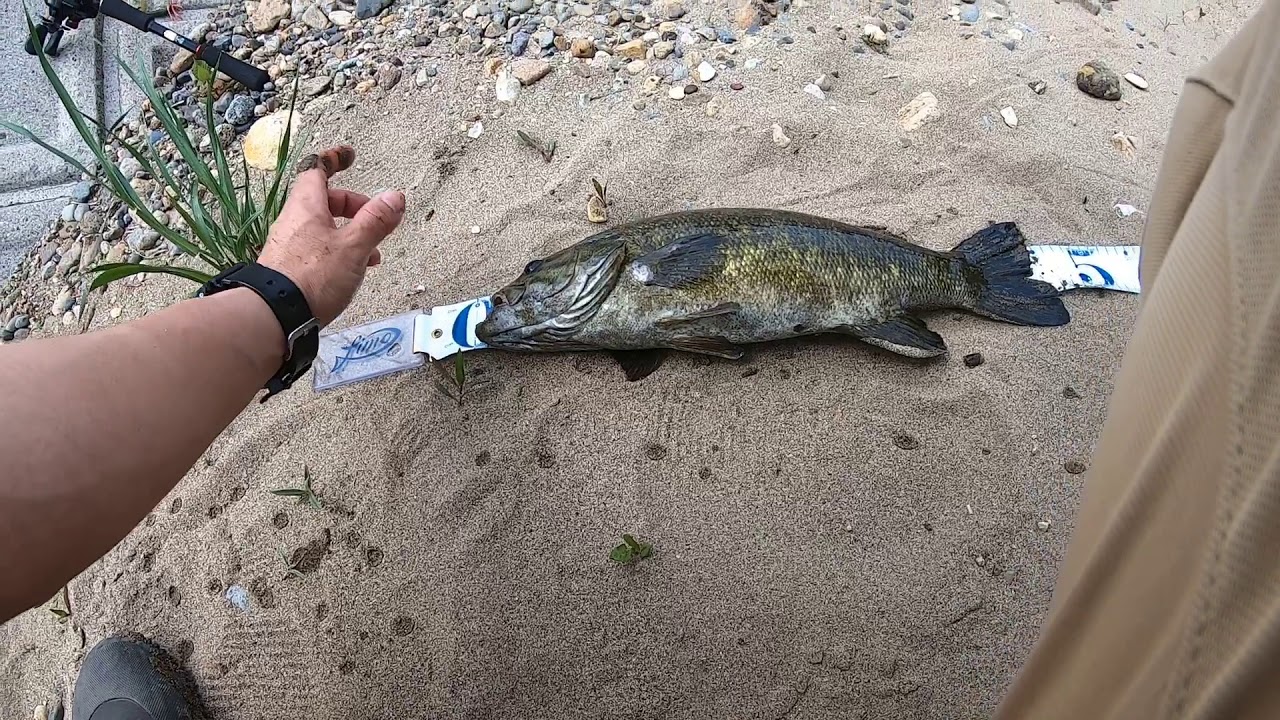 自作のスモラバでバス釣り#1【自作ルアー】