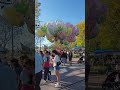 Disneyland walking vlog 03192024  beautiful magical sunny day at disneyland disneyland