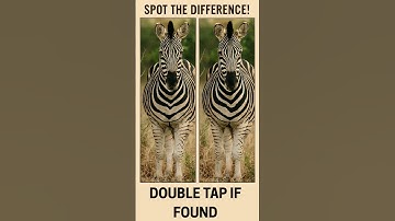 Hardest Spot the Difference Ever – Zebra Edition #shortsfeed #shorts