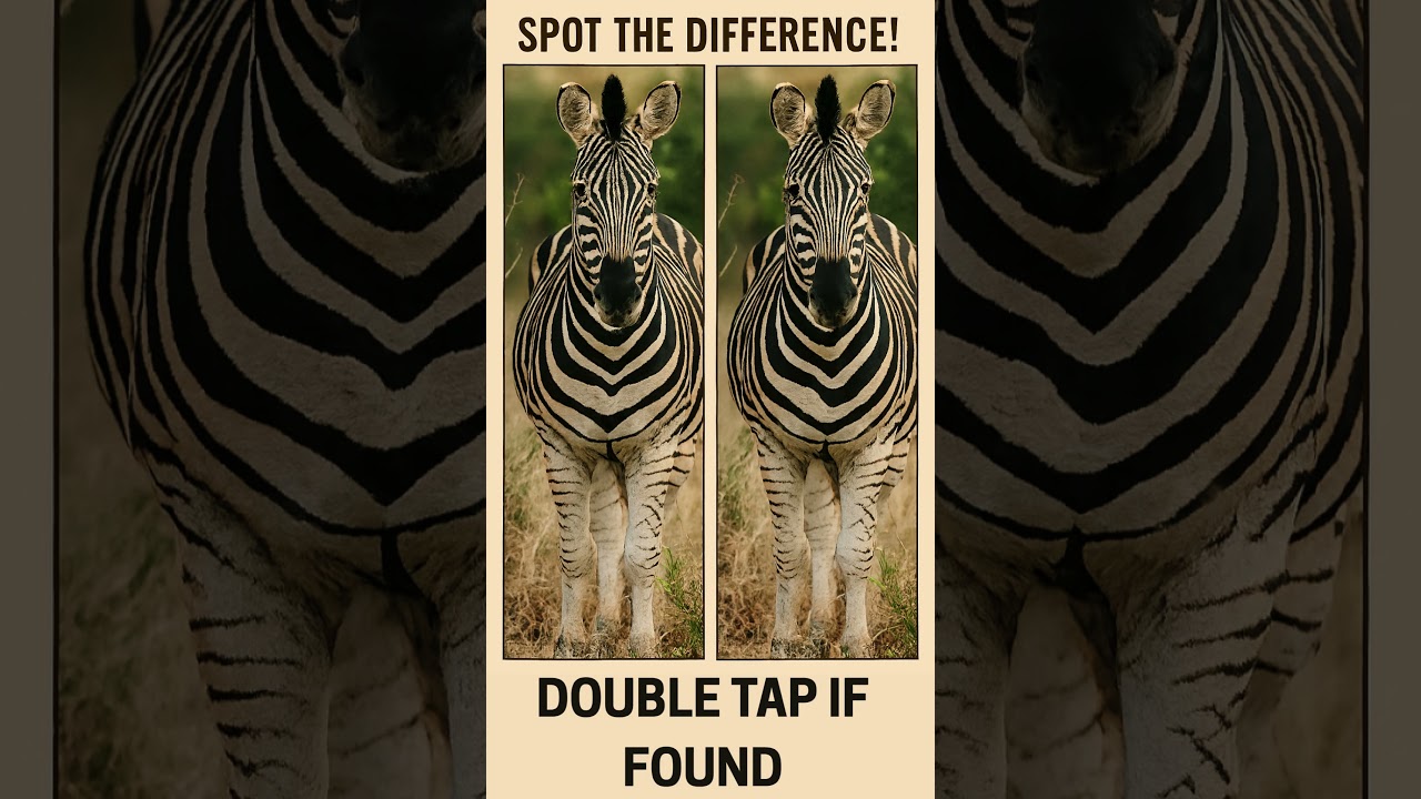 Hardest Spot the Difference Ever – Zebra Edition 