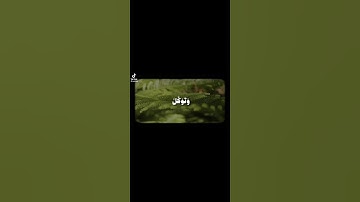 وَتَوَكَّلْ عَلَى الْعَزِيزِ الرَّحِيمِ_علي جابر رحمه الله_سورة الشعراء [اية-٢١٧]