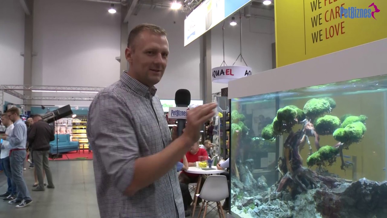 ptaki ciernistych krzewów cda Juwel Polska - zestawy akwariowe (Pet Fair)