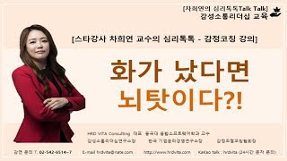 화가 났다면 뇌탓이다?! [차희연 강사의 감성코칭 강의영상]