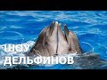 Необычное представление в океанариуме Екатеринбурга