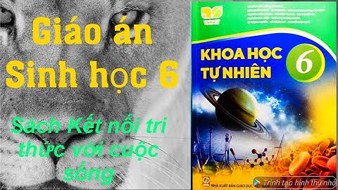 Giáo án miễn phí: Sinh học 6, Kết nối tri thức với cuộc sống. Trong video có hướng dẫn tải bản word