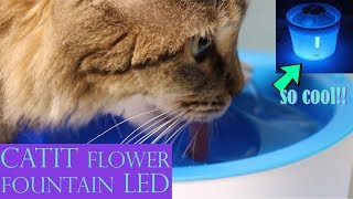 CATIT FLOWER FOUNTAIN LED | Unboxing & Setup