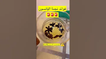 فوائد نجمة اليانسون Explore اكسبلور ترند 