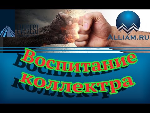 Как работают коллекторы из старого.слушатьКак не платить кредит. Кузнецов. Аллиам.