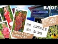 Дачная мода | В шоке от цен | Распаковка обновок из магазина bonprix