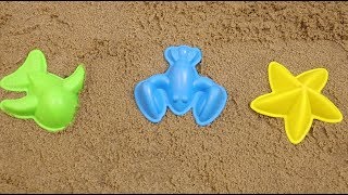Учим цвета на английском языке с ребенком Играем с песком и лепим морских обитателей