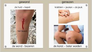 Woordkast NT2 gewond en genezen