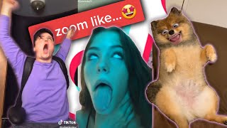 Tik Toks that reminded you to MUTE your MIC on ZOOM!(Best Tiktok Funny Video)*NEW TIKTOKS**GENZ*