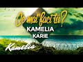 Kamelia feat. Karie - Ce Mai Faci Tu | Audio