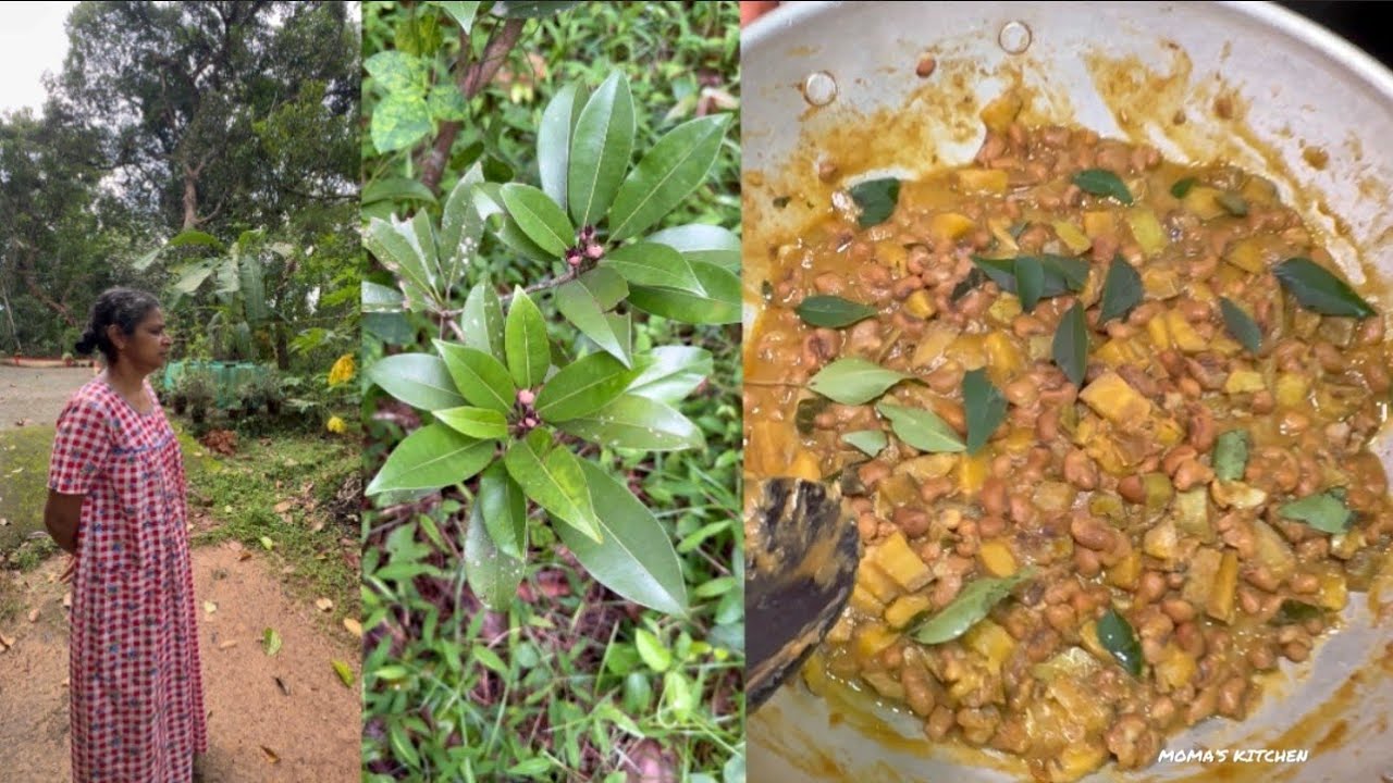 നിങ്ങൾക്ക് വളരെ ഇഷ്ടപ്പെട്ട ആ കറി ഊണിന് ഇന്ന് അമ്മ ഉണ്ടാക്കിയിട്ടുണ്ടേ😋👌👇