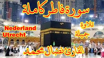 سورة فاطر كاملة بصوت القارئ نضال محمد Surah Fatir.