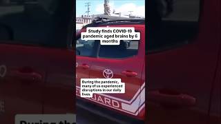 Study finds COVID-19 pandemic aged brains by 6 months