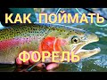 КАК ПОЙМАТЬ ФОРЕЛЬ НА ПЛАТНИКЕ + МОЯ СНАСТЬ НА ФОРЕЛЬ