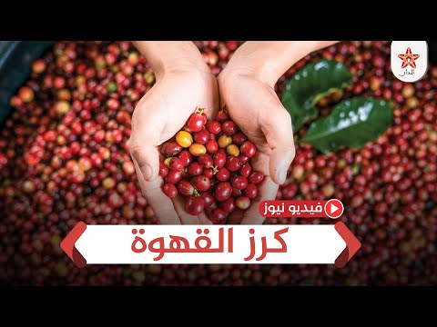 كرز القهوة يحمي من الإصابة بالسكري والكبد الدهني