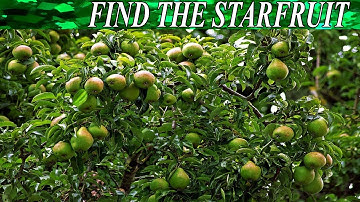 Can You Find The Hidden Objects | 99% Fail | New Game | Brain Teaser | Mind Booster