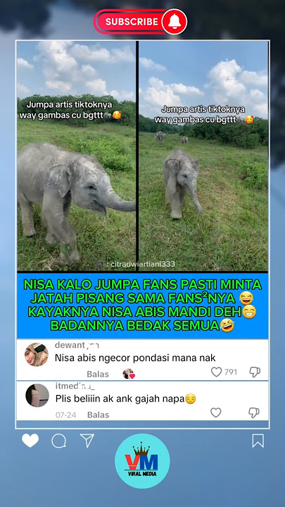 Badan Nisa Si Anak Gajah Viral, Putih Semua #gajahnisa #nisa #shorts