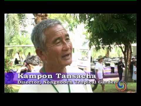 The Palms of the Nong Nooch Gardens Pattaya - Science and Elegance