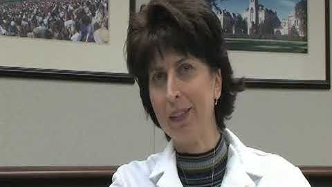 Cats, Dogs and the Zoonotic Diseases that Can be Passed to Owners