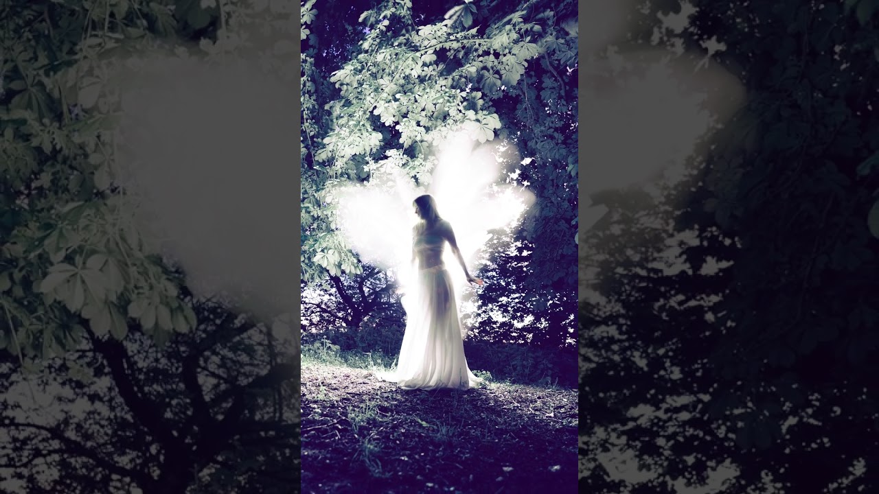 Step into a magical forest with Lily, my muse, and me