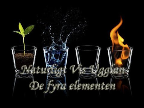 Video: Vilka fyra element ingår i systemtänkandet?