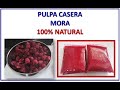 PULPA CASERA DE MORA | Receta Pulpa 06 | Pulpas 100% Naturales fáciles y Saludables