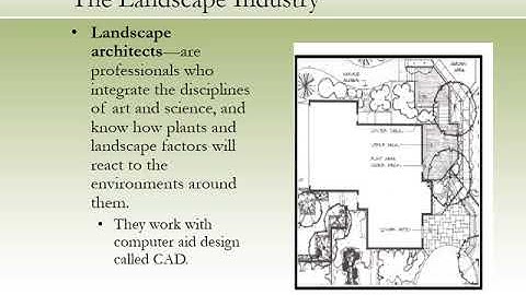 Week 5 Complete Work GCU MKT 373