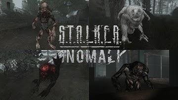 Hunting STALKER