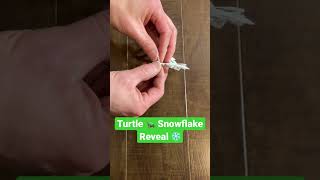 Turtle 🐢 Paper Snowflake ❄️ Reveal #shorts
