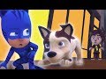 PJ Masks Episode | CLIPS ⭐️ Catboy and the New Wolfie Dog Rescue  ⭐️ HD | Cartoons for Kids