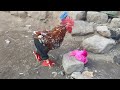 Vile Jamaa Akiskia Message Imeingia Na Ako Nje Mke Wake Kwa Nyumba Vile Jamaa Akiskia Message Imeingia Na Ako Nje Mke Wake Kwa Nyumba