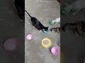 Щ Щ ЩЉШЄЩ Щ Щ Ш Ш ШіЩЉЩ ШЄШ ШЄ ШґШ ЩЉШ Ш рџЊІрџЊірџЊІрџЊірџЊІрџЊі Щ Щ ЩЉШЄЩ Щ Щ Ш Ш ШіЩЉЩ ШЄШ ШЄ ШґШ ЩЉШ Ш рџЊІрџЊірџЊІрџЊірџЊІрџЊі