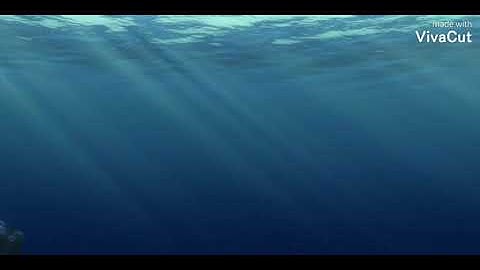 "Finding PPLBLO" Part 1 - New Parents/A Terrible Fate