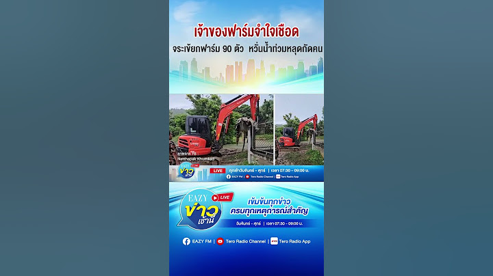 เจ้าของฟาร์มจำใจเชือด จระเข้ยกฟาร์ม 90 ตัว หวั่นน้ำท่วมหลุดกัดคน