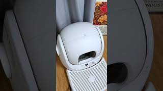 Have You Ever Tried Getting Someone To Scoop The Litter For You?